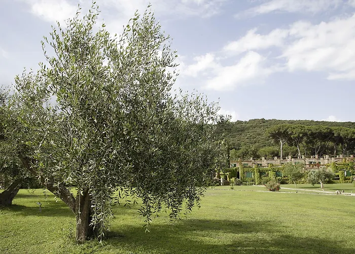 & Sant'anna Del Volterraio